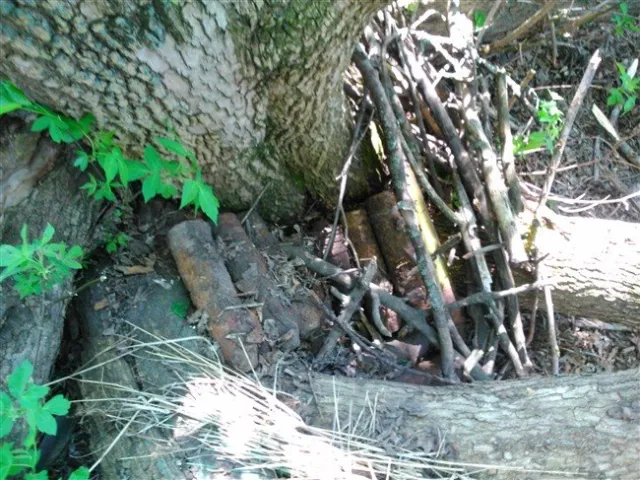 На Полтавщині виявили схованку з боєприпасами часів Великої Вітчизняної війни (Фоторепортаж) + (Відео) — фото 5