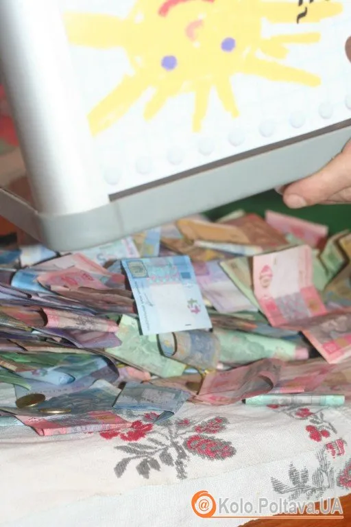 Активісти порахували кошти, які зібрали у скриню на благодійному заході (Фото) + (Відео) — фото 2