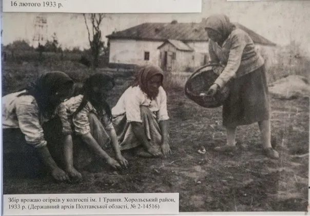 У Полтаві відкрили документальну виставку «Голодомор 1932-1933 років на Полтавщині» (Фоторепортаж) — фото 1