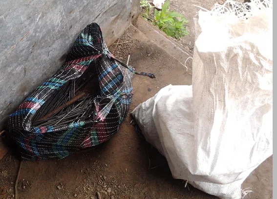 Парвоохоронці затримали вандалів, які понівечили більше 300 могил (фото) — фото 1