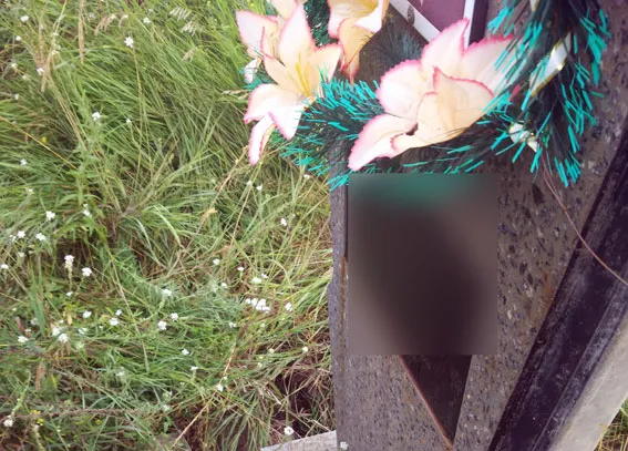 Парвоохоронці затримали вандалів, які понівечили більше 300 могил (фото) — фото 3